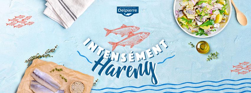 À la redécouverte des poissons traditionnels : le hareng