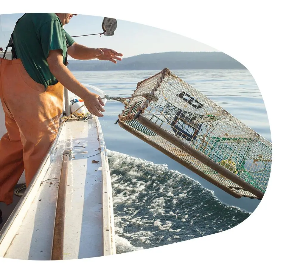 fb742cbf27c0924c6c03e454a8e894da6955ba5e