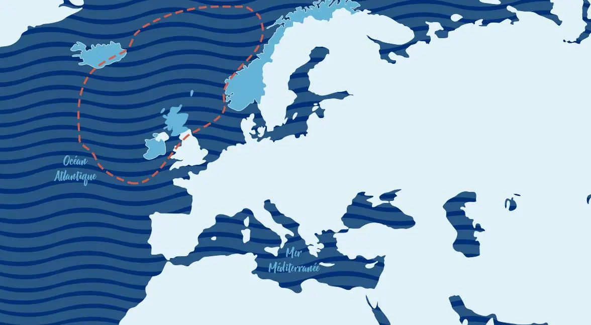 fonds-de-carte-Maquereau-final
