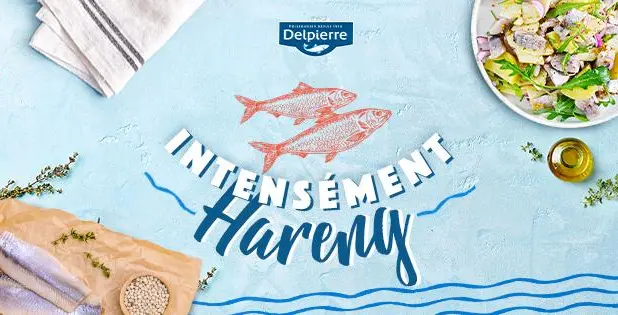 À la redécouverte des poissons traditionnels : le hareng