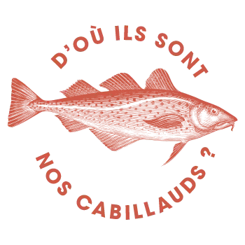 cabillaud-tampon-2