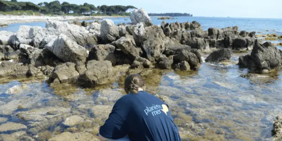 articles-images-corps-texte-13_1-582x307-1