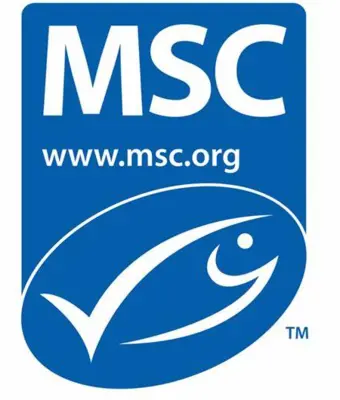 LOGO MSC