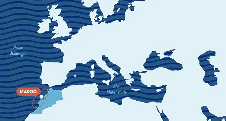 Sardines-Maps-Fiches-Produits