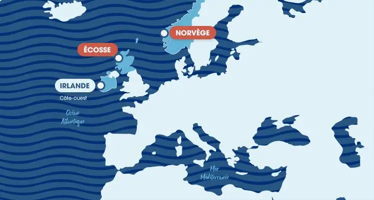 Saumon-Bio-Maps-Fiches-Produits