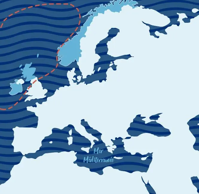 fonds-de-carte-Maquereau-final